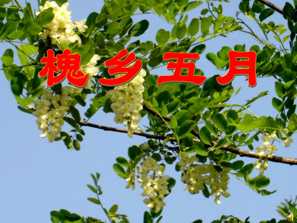 三年级语文下册第七组2槐乡五月第二课时课件_第1页