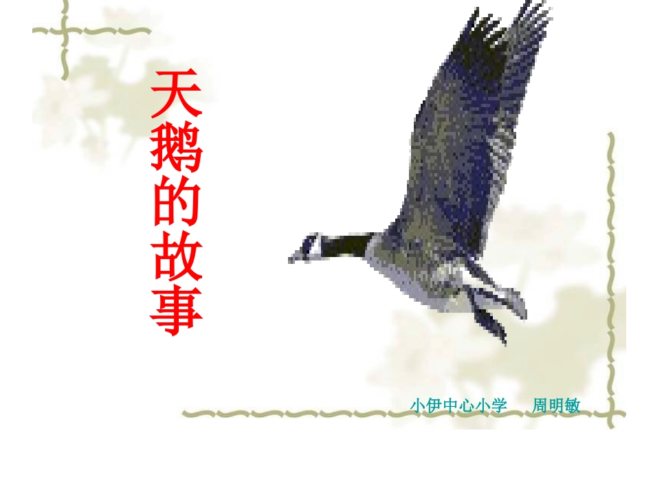 天鹅的故事PPt演示文稿_第1页