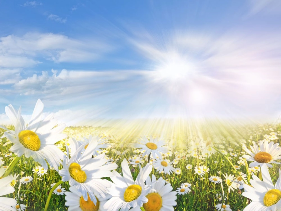 发现比较好的模板_第3页