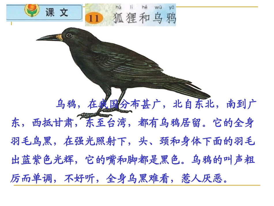 狐狸和乌鸦 课件_第2页