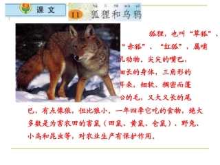 狐狸和乌鸦 课件
