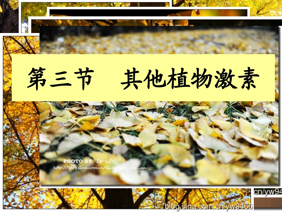 其他植物激素(最新)(1)_第1页