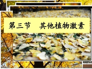 其他植物激素(最新)(1)