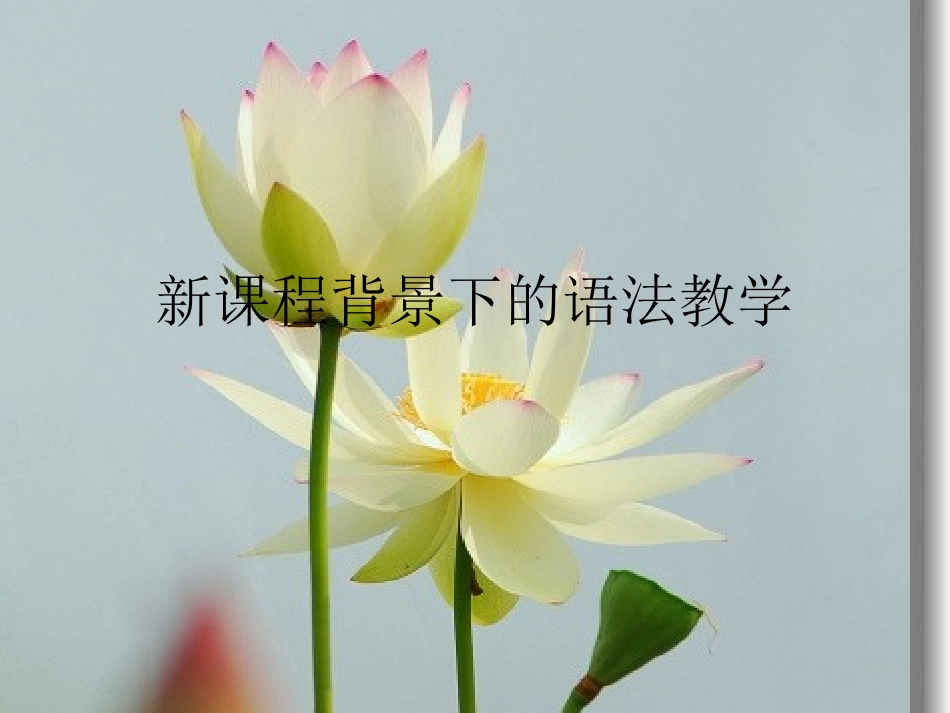 新课程下语法教学_第1页
