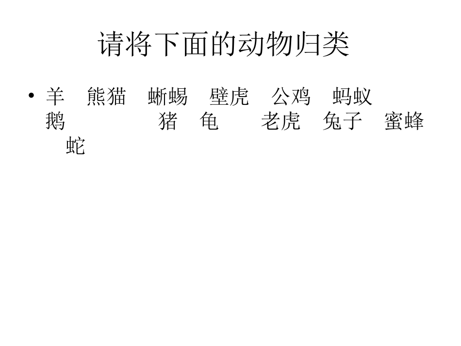 《地面上的动物》课件_第3页