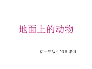 《地面上的动物》课件