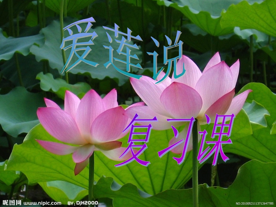爱莲说课件 (2)_第1页