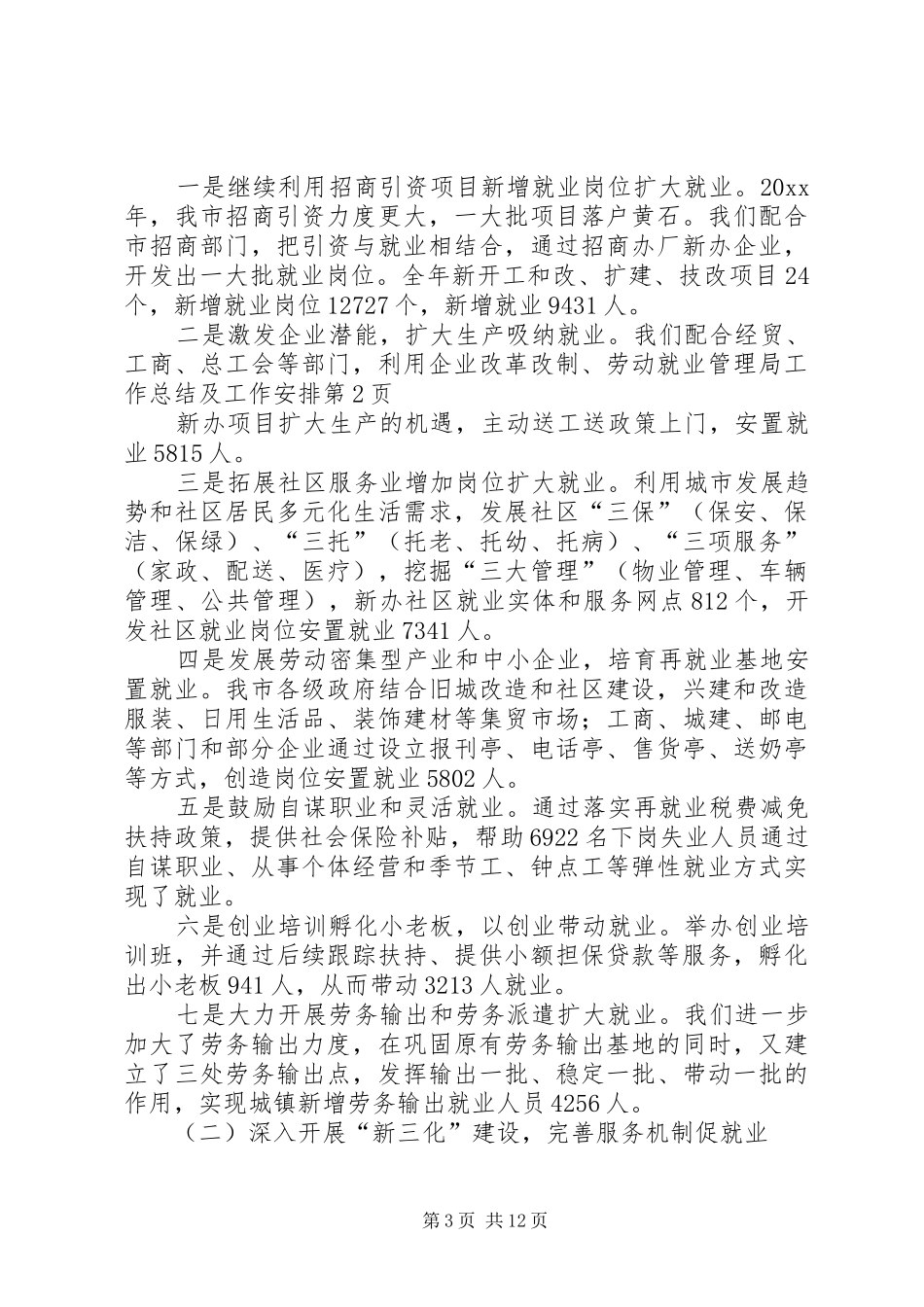 劳动就业管理局工作总结及工作安排_第3页