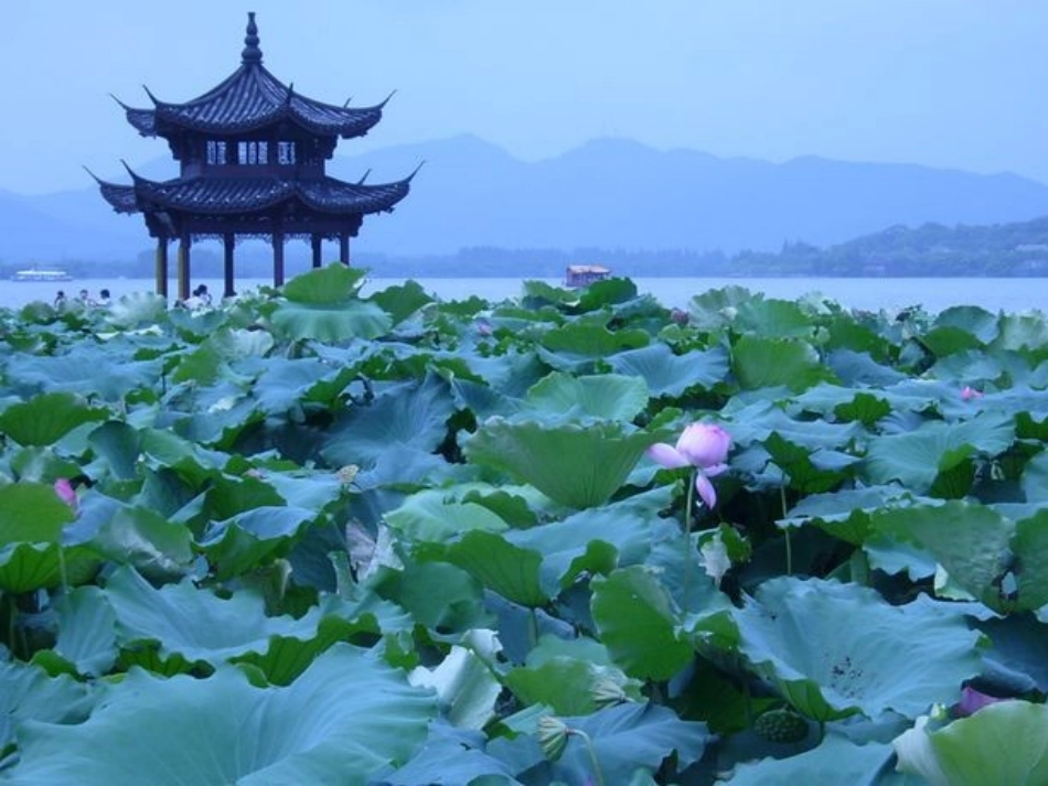 晓出净慈寺送林子方 (2)_第3页