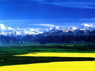 学会积极的心理暗示改