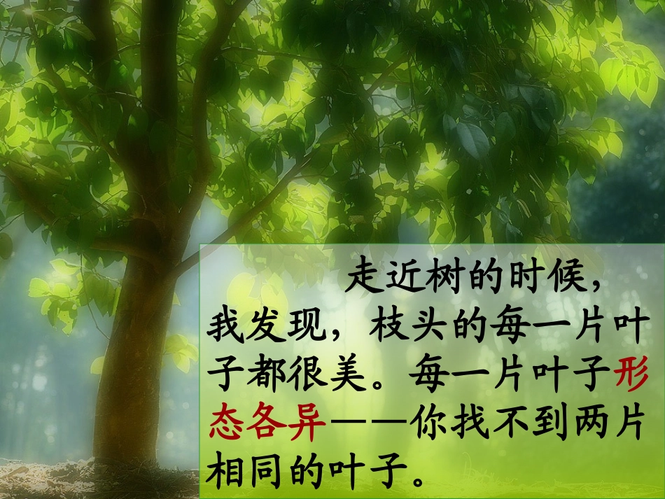 做一片美的叶子 (3)_第3页