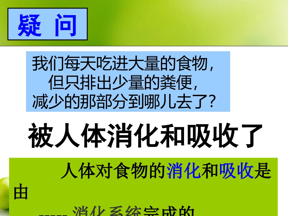 ---食物的消化与吸收_第3页