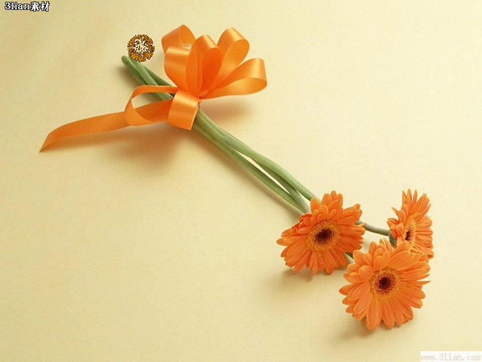 开音节与闭音节基本知识1_第1页