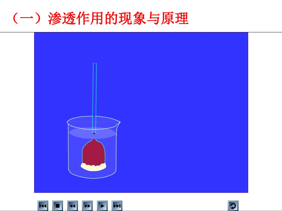 物质跨膜运输实例(优质课)(1)_第2页