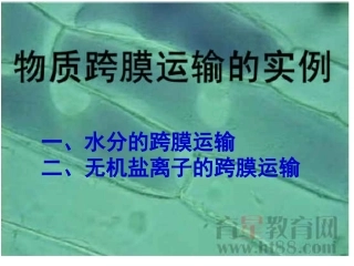 物质跨膜运输实例(优质课)(1)