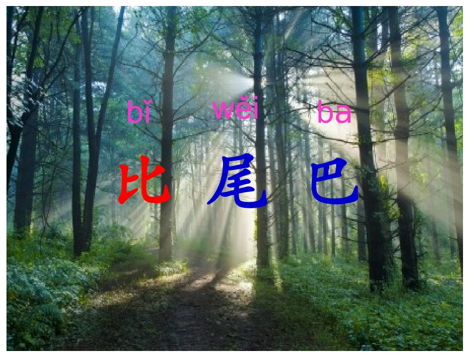 比尾巴(课件)_第1页