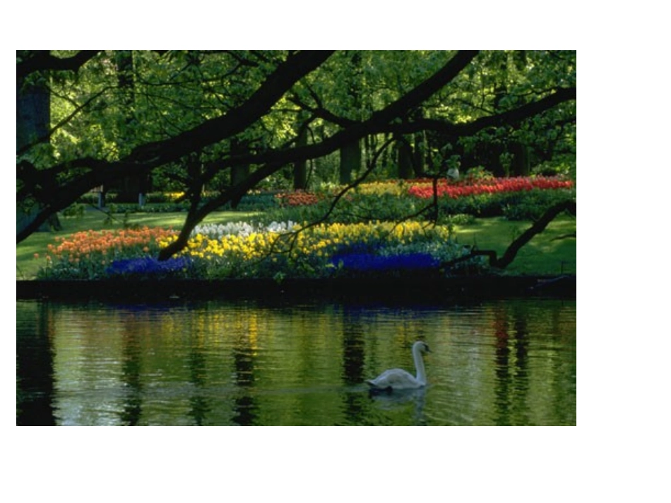 环保javascript;_第2页