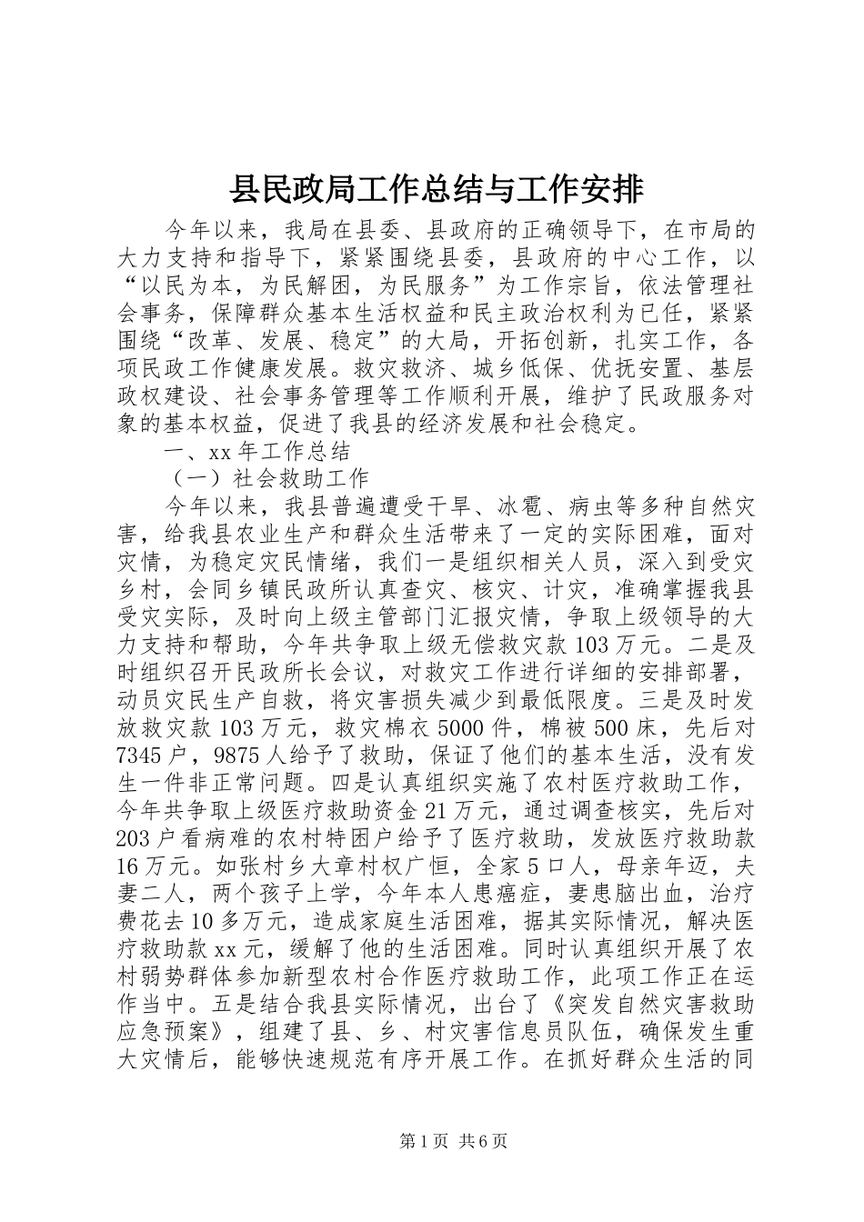 县民政局工作总结与工作安排_第1页