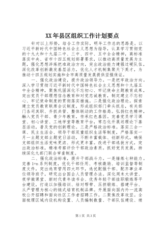 XX年县区组织工作计划要点