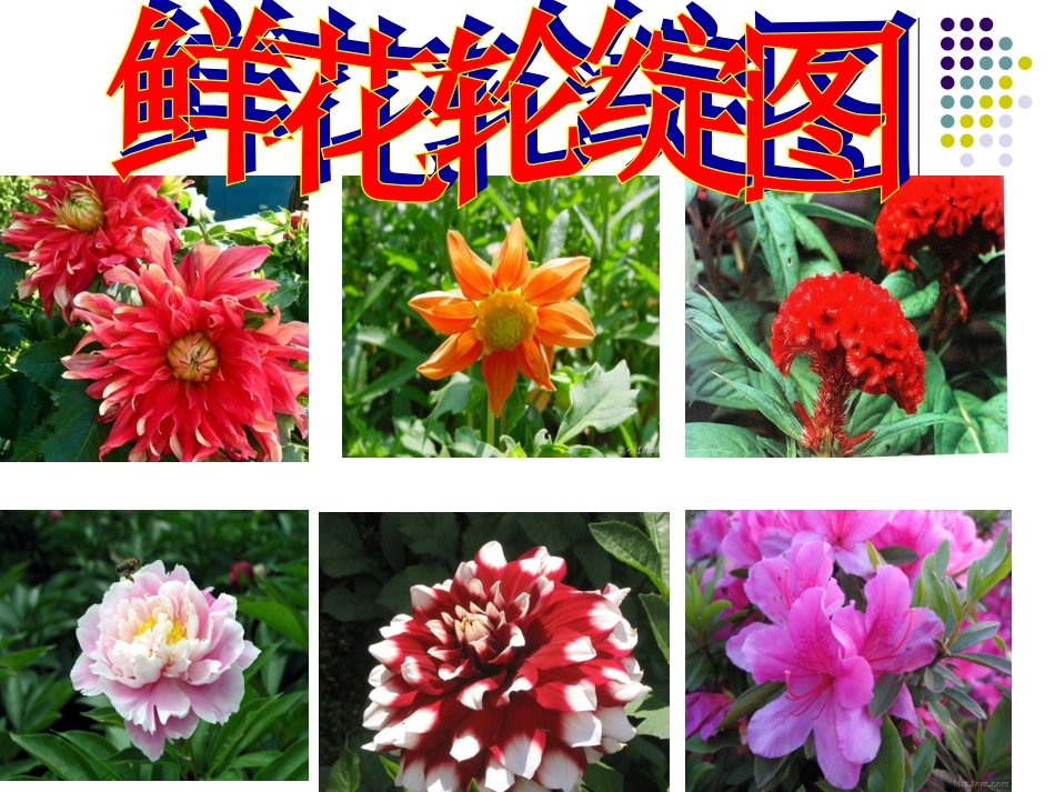 乡下人家课件_第3页