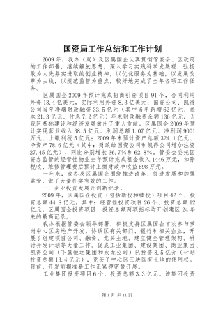 国资局工作总结和工作计划
