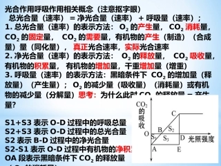 光合呼吸概念