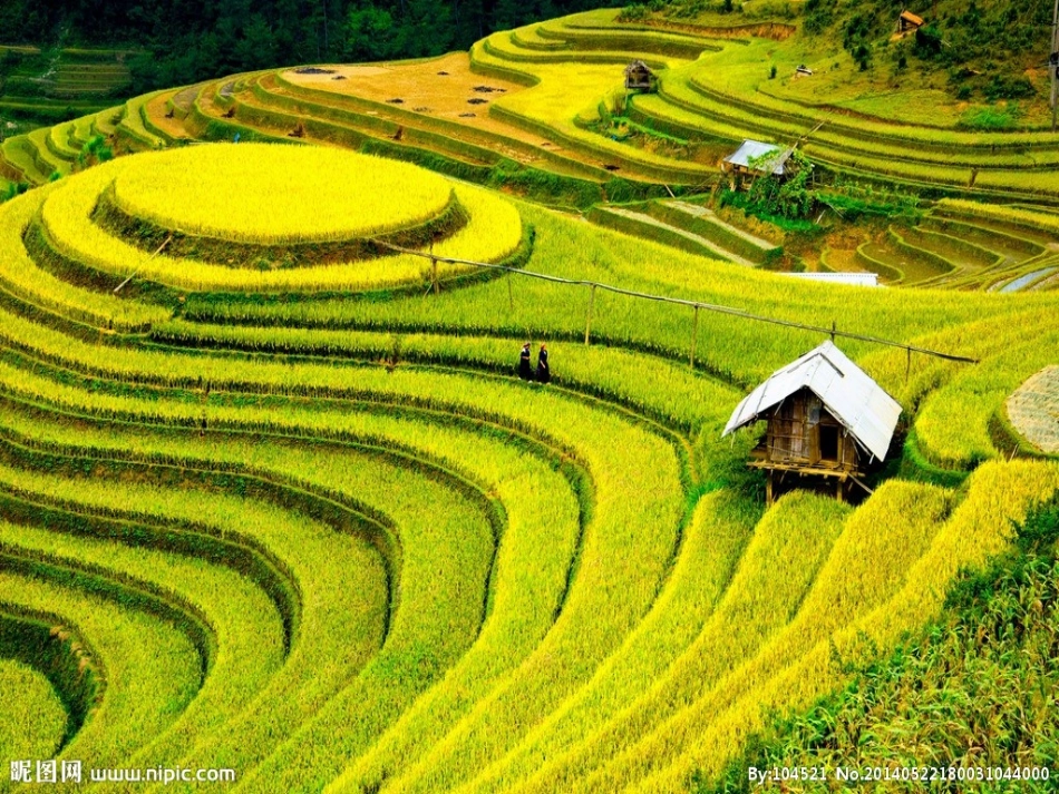 《我们只有一个地球》PPT_第2页