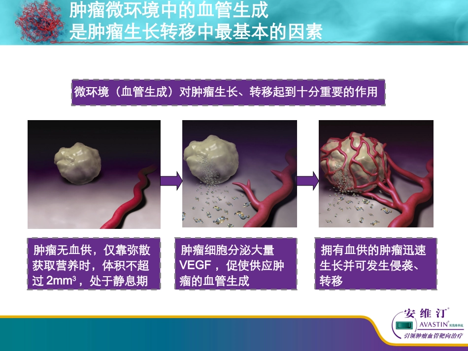 贝伐珠单抗之_结直肠癌篇_第2页