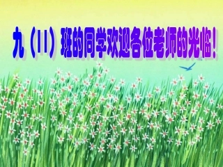 金属化学性质合作模式