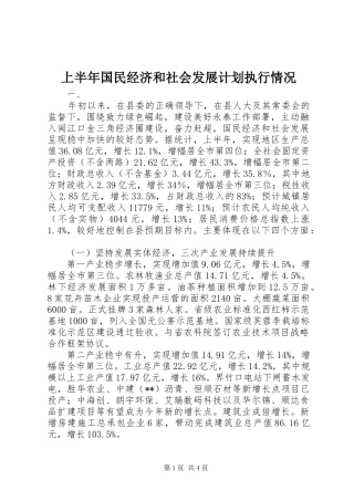 上半年国民经济和社会发展计划执行情况