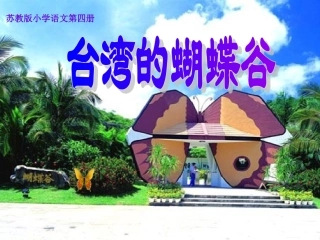 台湾的蝴蝶谷 (2)