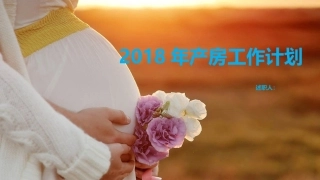 2018年产房计划