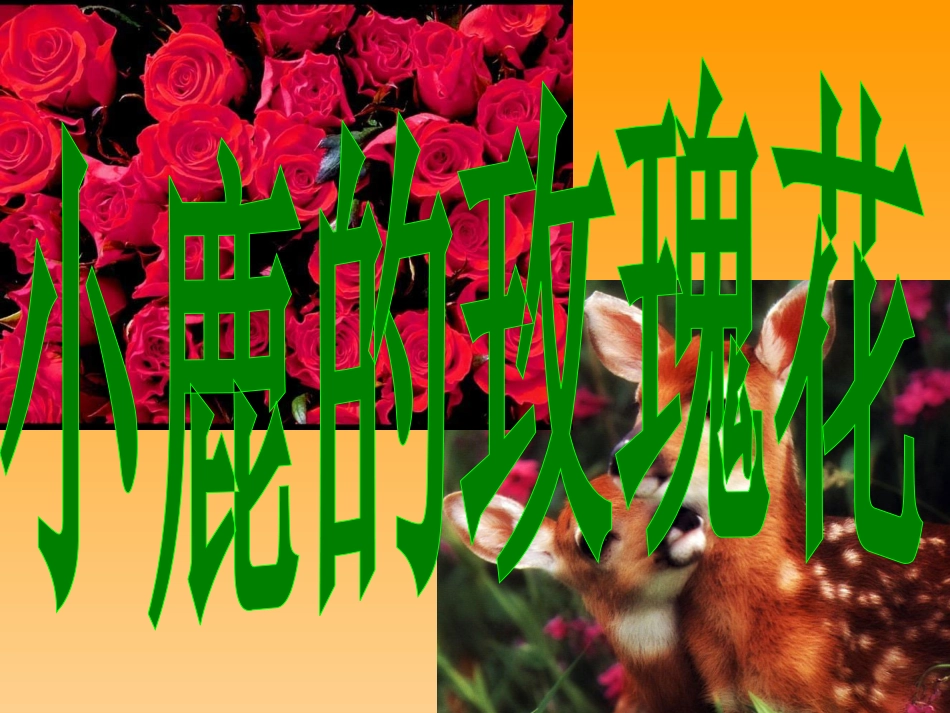 ）小鹿的玫瑰花_第2页