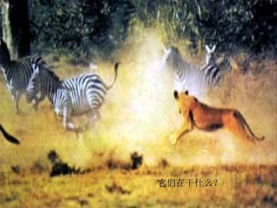 北师版七年级生物复习_第3页