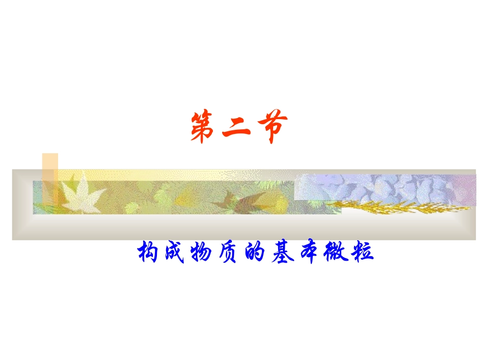构成物质的基本微粒5_第1页