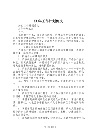XX年工作计划例文