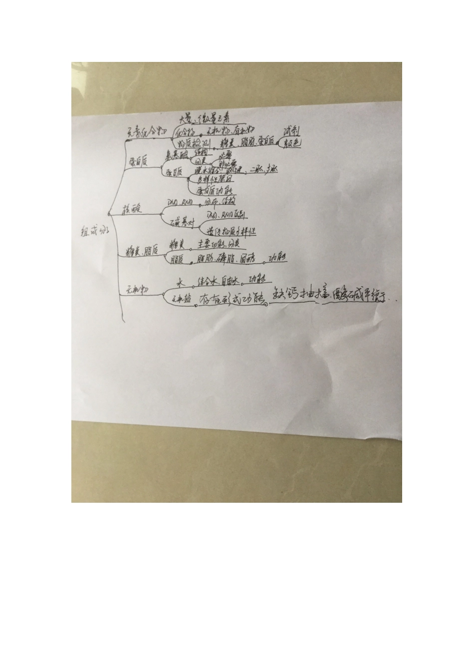 分子组成思维导图_第1页