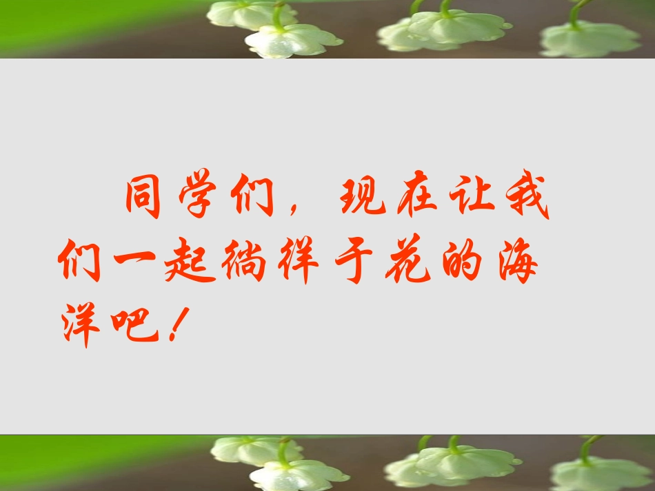 二十九、送你一束转基因花_第1页