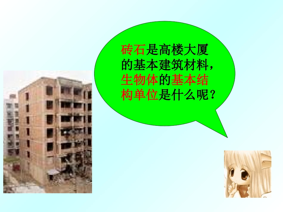 生物体的基本结构_第2页