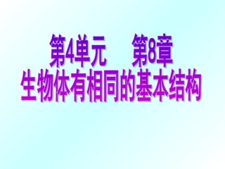 生物体的基本结构