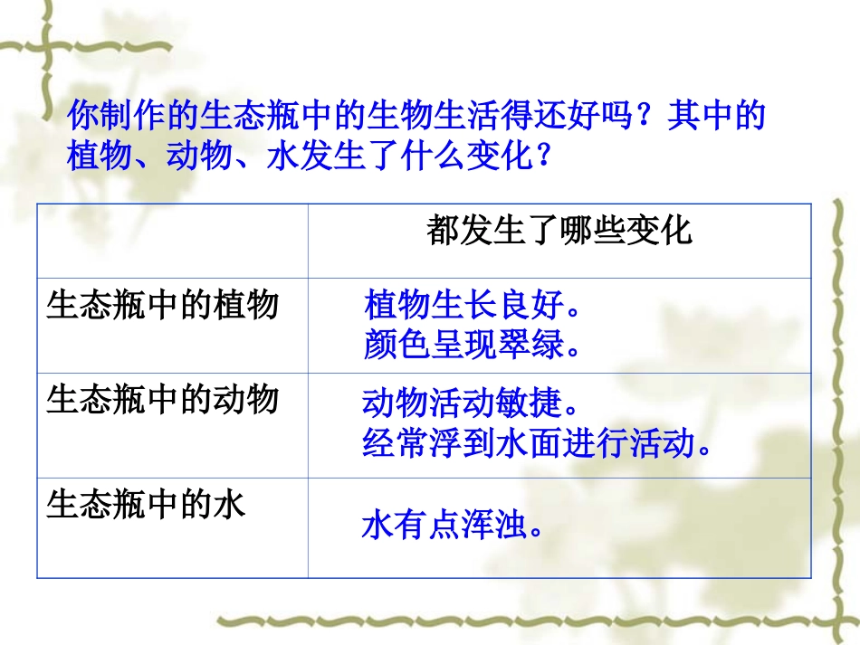 《改变生态瓶》课件_第3页