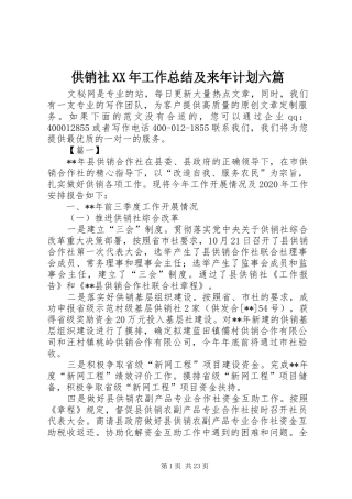 供销社XX年工作总结及来年计划六篇