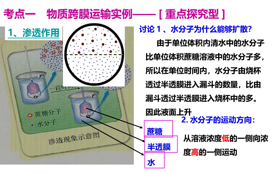 2018高三生物一轮复习物质跨膜运输的实例和方式_第2页