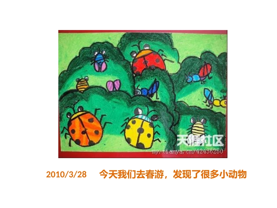 三年级观察日记的PPT_第3页