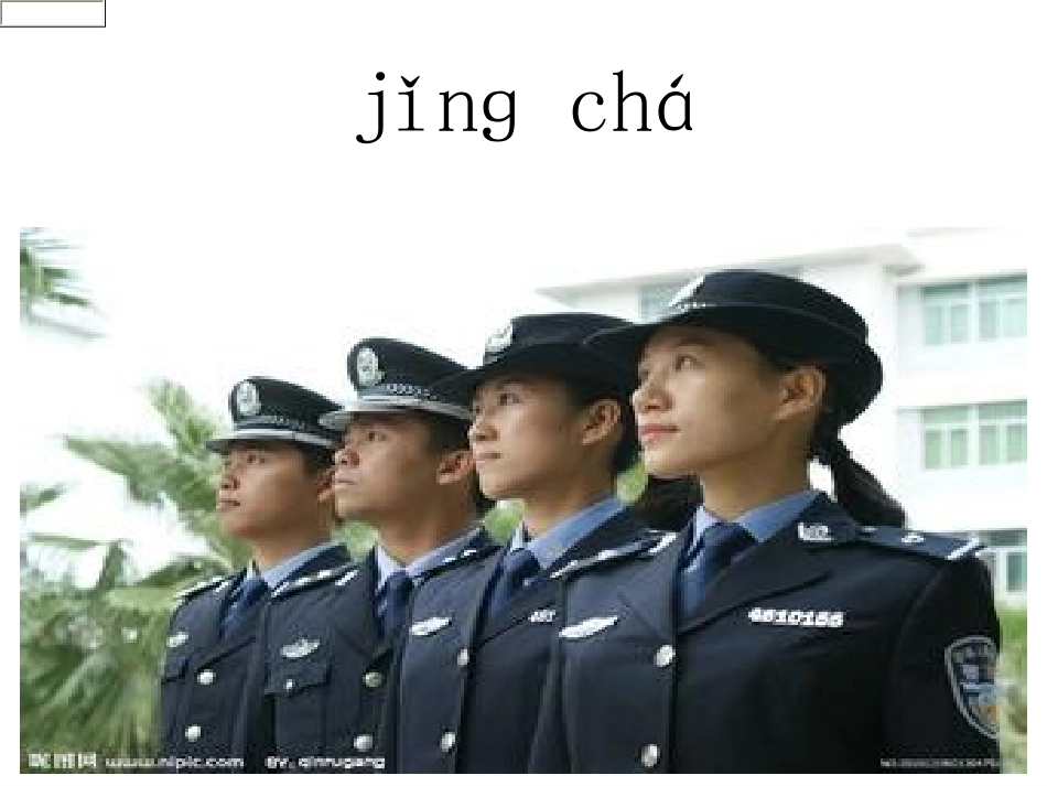 帮小鸽子送信。_第3页