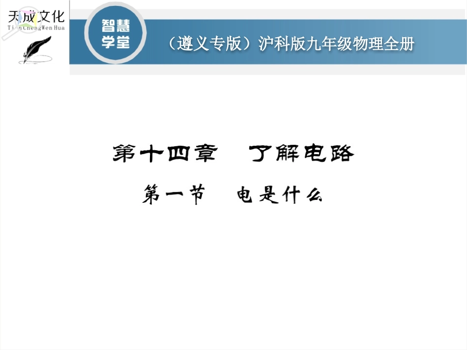 14.1 电是什么习题课_第1页