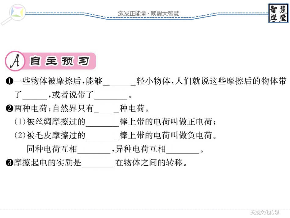 14.1 电是什么习题课_第2页