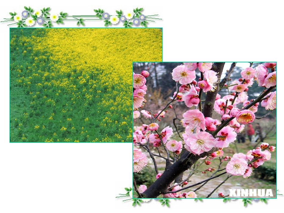 3植物妈妈有办法-优秀课件_第1页