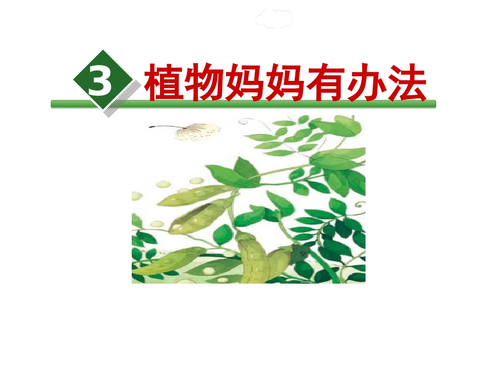 3植物妈妈有办法-优秀课件_第2页