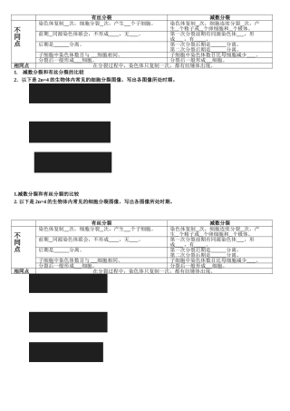 减数分裂习题课